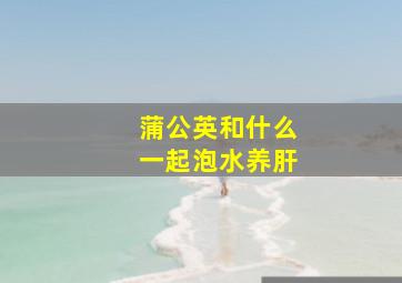 蒲公英和什么一起泡水养肝