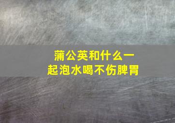 蒲公英和什么一起泡水喝不伤脾胃