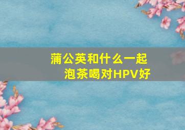 蒲公英和什么一起泡茶喝对HPV好