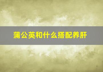 蒲公英和什么搭配养肝