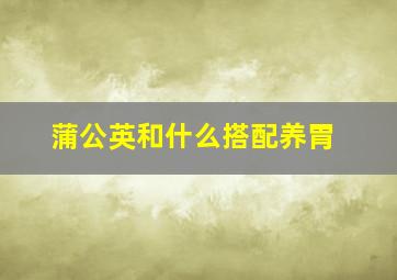 蒲公英和什么搭配养胃