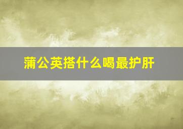 蒲公英搭什么喝最护肝