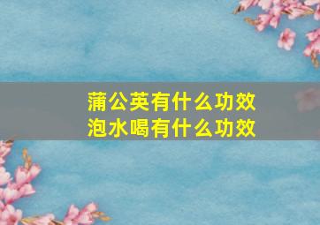 蒲公英有什么功效泡水喝有什么功效