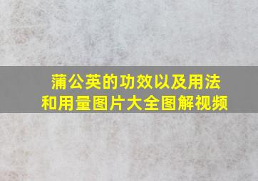 蒲公英的功效以及用法和用量图片大全图解视频