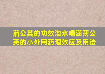 蒲公英的功效泡水喝潇薄公英的小外用药理效应及用法