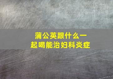 蒲公英跟什么一起喝能治妇科炎症