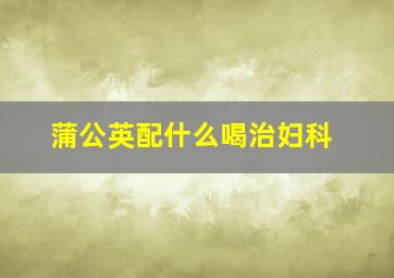 蒲公英配什么喝治妇科