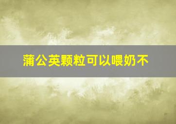 蒲公英颗粒可以喂奶不