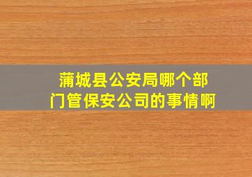 蒲城县公安局哪个部门管保安公司的事情啊