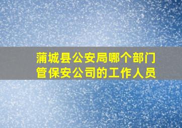 蒲城县公安局哪个部门管保安公司的工作人员