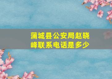 蒲城县公安局赵晓峰联系电话是多少