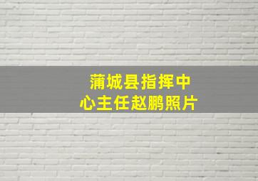 蒲城县指挥中心主任赵鹏照片