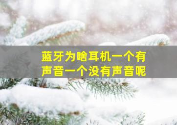 蓝牙为啥耳机一个有声音一个没有声音呢