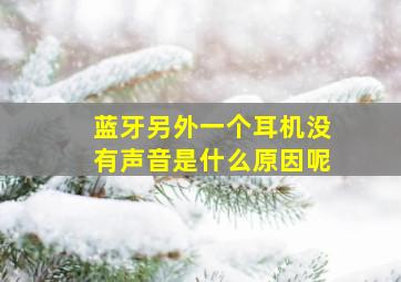 蓝牙另外一个耳机没有声音是什么原因呢