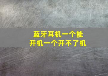 蓝牙耳机一个能开机一个开不了机