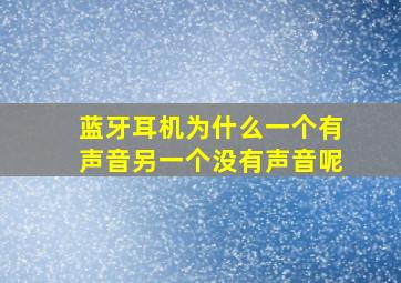 蓝牙耳机为什么一个有声音另一个没有声音呢