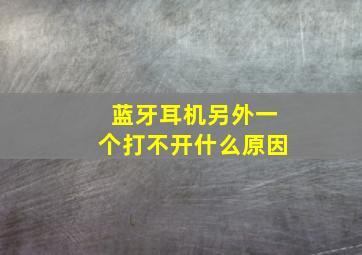 蓝牙耳机另外一个打不开什么原因