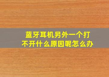 蓝牙耳机另外一个打不开什么原因呢怎么办