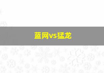 蓝网vs猛龙