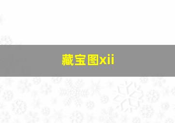 藏宝图xii