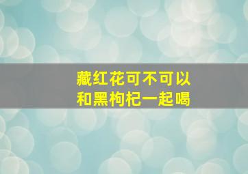 藏红花可不可以和黑枸杞一起喝