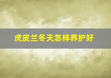 虎皮兰冬天怎样养护好