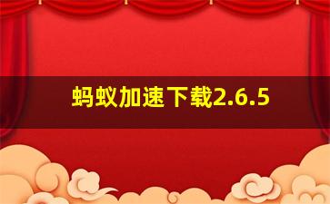 蚂蚁加速下载2.6.5