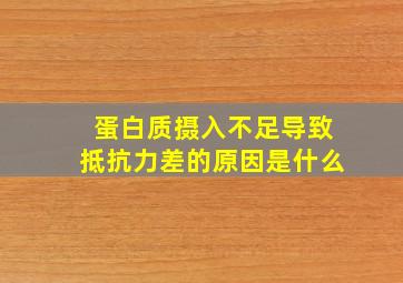 蛋白质摄入不足导致抵抗力差的原因是什么