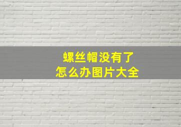 螺丝帽没有了怎么办图片大全