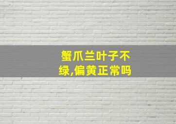 蟹爪兰叶子不绿,偏黄正常吗