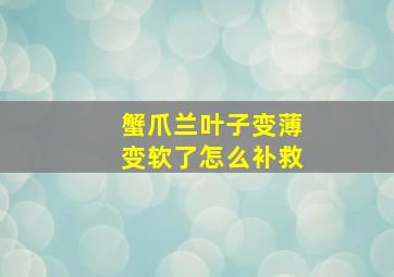 蟹爪兰叶子变薄变软了怎么补救