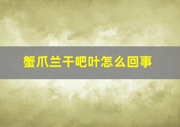 蟹爪兰干吧叶怎么回事