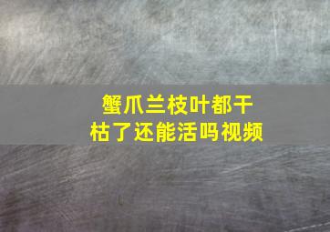 蟹爪兰枝叶都干枯了还能活吗视频