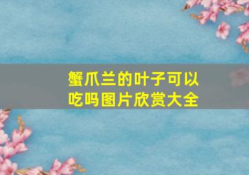 蟹爪兰的叶子可以吃吗图片欣赏大全