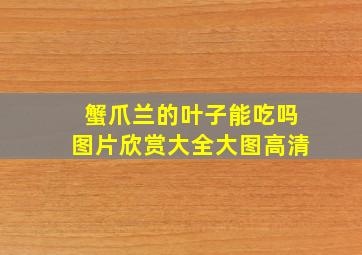 蟹爪兰的叶子能吃吗图片欣赏大全大图高清