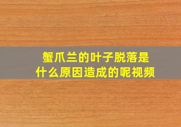 蟹爪兰的叶子脱落是什么原因造成的呢视频