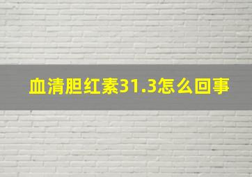 血清胆红素31.3怎么回事