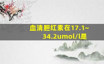 血清胆红素在17.1~34.2umol/l是