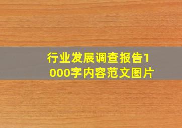 行业发展调查报告1000字内容范文图片