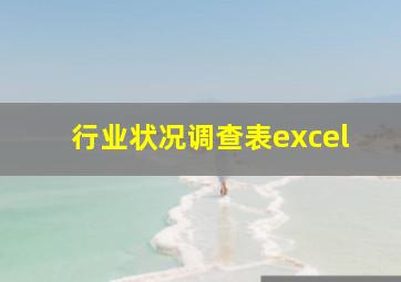 行业状况调查表excel