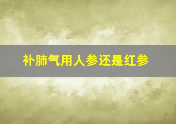 补肺气用人参还是红参