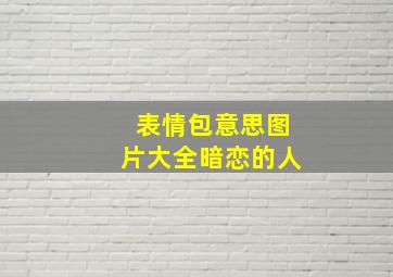 表情包意思图片大全暗恋的人