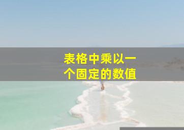 表格中乘以一个固定的数值