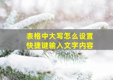 表格中大写怎么设置快捷键输入文字内容