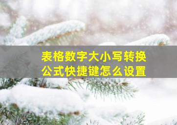 表格数字大小写转换公式快捷键怎么设置