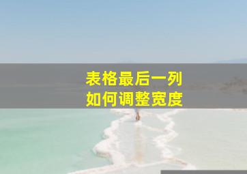 表格最后一列如何调整宽度