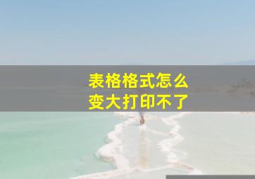 表格格式怎么变大打印不了