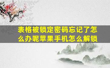 表格被锁定密码忘记了怎么办呢苹果手机怎么解锁