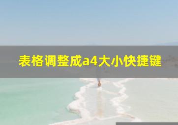 表格调整成a4大小快捷键