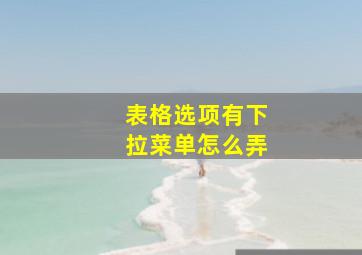 表格选项有下拉菜单怎么弄